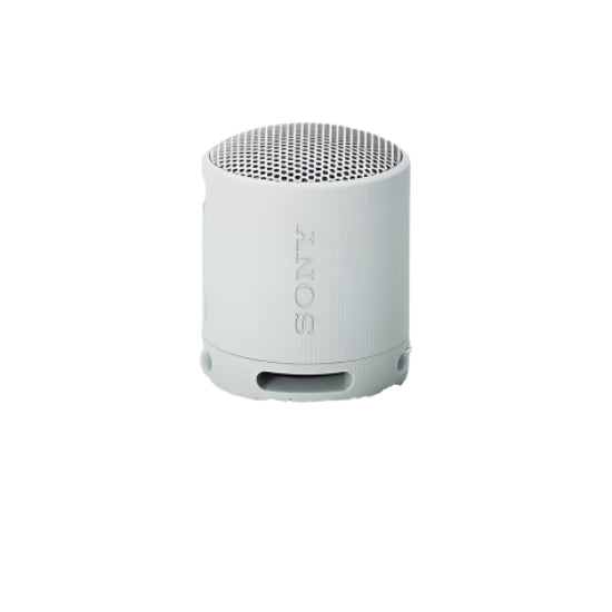 Sony Wireless Speakers, Gray