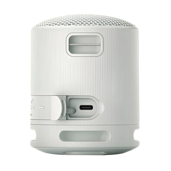 Sony Wireless Speakers, Gray